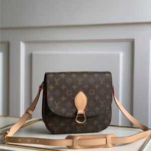 Louis Vuitton Bag LV Vintage