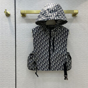dior classic hooded vest