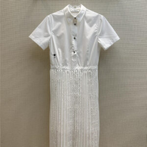 dior bee embroidered pleated shirt dress