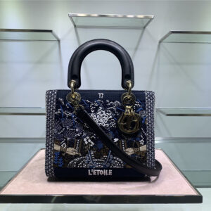 Lady Dior embroidered star bag