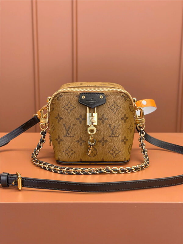 Louis Vuitton LV Just In Case BAG